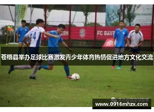 苍梧县举办足球比赛激发青少年体育热情促进地方文化交流